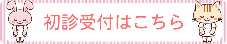 初診受付はこちら